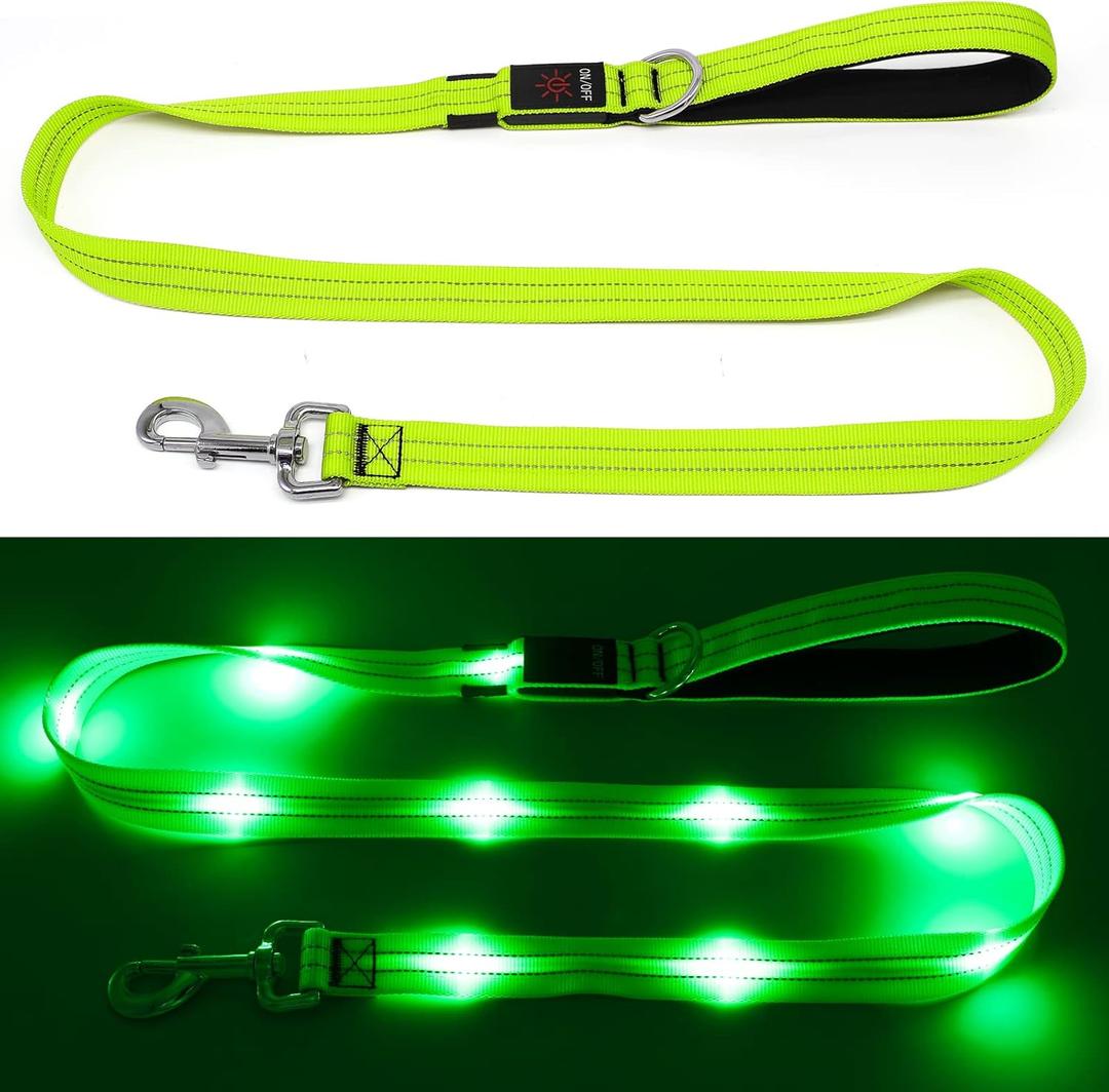 4 Ft Led Dog Leash, Rechargeable Light up Waterproof, Safety Glow in the Dark for Night Walking, Nylon Reflective with Padded Handle for Small Medium Large Dogs