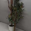 6FT Artificial Olive Tree - Indoor Tall Faux Olive Trees with Planter&Basket, Large Fake Olive Silk Tree Realistic Olive Plants with Branches and Fruits for Home Decor Office Living Room