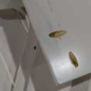 Kitchen Breakfast Nook Table Set - Solid Wood Corner Bench Dining Set for 4-6 People, L Shaped Bench for Dinner Room, Space Saving Kitchen Booth Seating with Table for Small Space, Russet