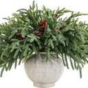 24 Pcs 18 Inch Real Touch Norfolk Pine Branches Christmas Greenery Stems with Pinecones & Red Berries for Christmas Decorations