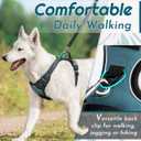 Eagloo Dog Harness Medium Sized Dog, No Pull Service Vest with Reflective Strips and Control Handle, Adjustable and Comfortable for Easy Walking, No Choke Pet Harness with 2 Metal Rings, Dark Green, M