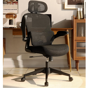 Ergonomic Mesh Office Chair, High Back Desk Chair