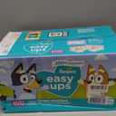 Pampers Training Pants - Easy Ups Boys & Girls Bluey - Size 2T-3T, 140 Count, Children's Potty Underwear 