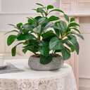 K&Y Realistic Artificial Potted Plants Olive Wild Fern Berry Decor Low Maintenance Faux Greenery Indoor Fake Plants for Home Office Bathroom Kitchen Desk Shelf (Gray Flowerpot Potted Plant)