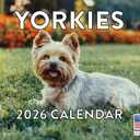 5 x Yorkie Calendar 2026 Yorkshire Terrier Monthly Wall Calender 12 Month | American Made In The USA