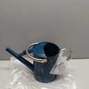 1 Gallon Metal Watering Can with Removable Spout, Nice Galvanized Steel Water Can for Indoor and Outdoor Plants (Ocean Blue)