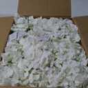 BLOSMON Hydrangea Artificial Flowers Ball Centerpieces 10 Pcs Fake Flowers White Silk Hydrangea Flower Balls Faux Hydrangeas Floral Arrangements Bouquet for Wedding Home Room Table Decoration