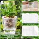 Ferrochef Self Watering Plant Pots, 5.1''/6.6''/7.2'', Transparent, 18 Pcs