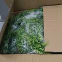 Geosar 36 Pcs Artificial Hanging Plants 32 Inch Hanging Boston Ferns Plastic Fake Plants for Wall Room Garden Wedding Garland Indoor Outdoor Decoration, No Basket