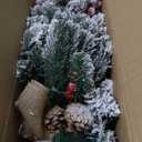 ININ 2FT Pre-lit Mini Christmas Snow Flocked Tree, Tabletop Artificial Christmas Tree with LED Lights, Small Xmas Pine Tree with Cloth Bag Base for Christmas Decor, 12 Clusters Berry & 8 Pinecones