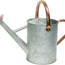 Metal Watering Can, One Gallon Watering Cans Stainless Steel for Outdoor Indoor Garden Plants Watering (Zinc 1 Gallon)