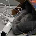 Bedsure Electric Blanket Twin - Soft Flannel Heated Blanket Twin Size, GentleSoft Fast Heating with 10 Time Settings & 6 Heat Settings, Warm Gift for Grandma (62x84 Inches, Grey)