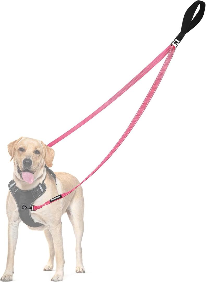 PetBonus Two Point Control Dog Leash, Works with No Pull Harnesses, No Tangle Training Leashes, Soft Padded and Reflective Walking Lead, Converts to Single Lead for Medium Large Dogs (Pink), 4 Feet
