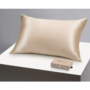 Blissy Silk Pillowcase  100% Pure Mulberry Silk  22 Momme 6A HighGrade Fibers  Silk Pillow Cover for Hair & Skin  Regular, Queen & King (Champagne, Standard)