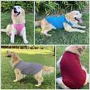 Dog Shirts Cotton Striped T-Shirts, Breathable Basic Vest for Puppy and Cat, Super Soft Stretchable Doggy Tee Tank Top Sleeveless, Fashion & Cute Color for Boys and Girls (XXL, Black+Red)