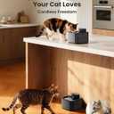 oneisall Wireless Cat Water Fountain: 74oz/2.2L Cordless Pet Water Fountains, 4000mAh Battery Operated Ultra-Quiet Integrated SilentFlow Pump for Cats Indoor, Automatic Cat Water Dispenser, BPA-Free