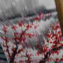 Handmade Traditional Chinese Oil Painting Pink Plum Blossom Canvas Wall Art Modern Black and White Landscape Artwork, 40"L x 20"W