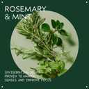 Aveda Rosemary Mint Purifying Shampoo | Clarifying Shampoo | Gently Removes Buildup, Adds Shine | For Normal to Oily Hair, Fine to Medium Hair | Invigorating Aroma| 97% Naturally Derived*