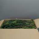 36Pcs Christmas Norfolk Pine Stems, 24'' Long Artificial Evergreen Norfolk Pine Branches, Real Touch Greenery Picks, Faux Floral Branch for Mantel DIY Xmas Home Decoration Indoor Christmas Decor