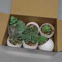 Der Rose Set of 6 Succulents Plants Artificial in Pots Small Fake Plants for Bedroom Aesthetic Living Room Shelf Bathroom Decor Office Desk Accessories (Green)