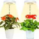 Juhefa Grow Light for Indoor Plants Growing, 4000K Full Spectrum Halo Plant Lamp for Seedlings Succulents Small Mini Plants, 3 Colors Spectrum Changeable & Auto On Off Timer 4/8/12/18Hrs (2 Pack)
