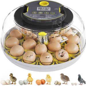 Incubator for Hatching Eggs-18 Egg Capacity, Automatic Egg Turner, Temperature & Humidity Control, 360 Viewing for Chicken, Duck and Quail Eggs (Black)