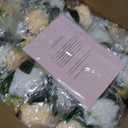 NUPTIO Artificial Flower Centerpieces for Tables: 10 Pcs Peachy Champagne & White Flower Ball Arrangement for Wedding Party - 9.5 Inch Diameter Floral Rose for Bridal Shower Decor