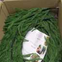 Christmas Wreaths for Front Door 30 Inch Norfolk Pine Wreath for All Seasons Artificial Green Wreath Holiday Decoration for Indoor Outdoor Home Decor