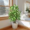 FLOWORLD Artificial Golden Dieffenbachia 4ft Tall Artificial Plants Indoor Decorative Silk Plants Potted Faux Tropical Tree Lifelike House Floor Large Fake Tree for Home Living Room