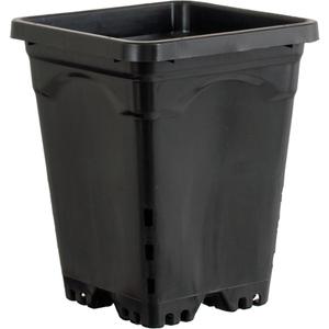 Active Aqua HG6X6SB 6"x6" (Case of 50), 8", Black Square Pot, 6" X 6"