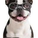 Namsan Clear Dog Goggles Medium Breed, with Black Replaceable Lenses, Interchangeable Doggie Sunglasses for Small to Medium Dogs, Summer UV Dog Eye Protection, Adjustable Doggy Snow Goggles