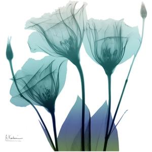 ART.COM Wall Art Print Gentian Buddies by Albert Koetsier, 24" x 24"