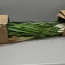 Vlorart 2 Pack Artificial 60" Greenery Floor Plants with Reed Flowers, Tall Fake Plant Potted, Faux Pampas Grass Plants for House Decorations, Lobby, Wedding, Garden Indoor Outdoor(Red Gradient)