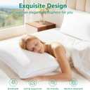 HIMEET Pillows Queen Size Set of 4, Luxury Fluffy Bed Pillows for Sleeping 4 Pack, Soft and Supportive Bed Pillow with Down Alternative Filling for Side and Back Sleepers (18"x28")