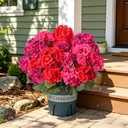 Geraniums Artificial Flowers for Outdoors, 2 Pack Potted Plants Faux Geraniums Bush Artificial Topiaries Realistic UV Resistant Fake Flowers Greenery for Outside Gardens Porch Patio Yard Indoor