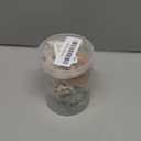Natural Hermit Crab Shell Set, Small to Medium Size