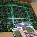 Artificial Grass Wall Boxwood Panels: 20"x20"(8P) UV Resistant