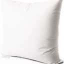 EDOW Luxury Throw Pillow Insert, Soft Fluffy Down Alternative Polyester Square Form Decorative Pillow Insert,Sham Stuffer,Cotton Cover for Sofa, Couch,Bed and Car. (White, 20x20)