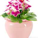 Self Watering Plant Pot 6 Inch African Violet Pots Ceramic Self-Watering Planter for Indoor Plants for Indoor Plants for Plant Enthusiasts Pink High Absorption Herbaceous Flower Pots