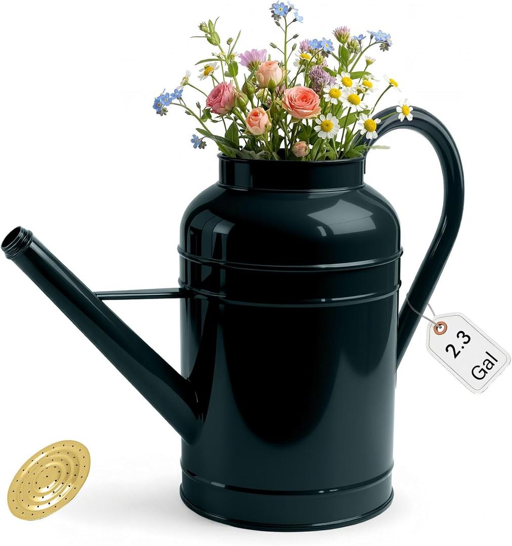 2.3-Gallon Metal Watering Can,8.7L Galvanized Watering Can for Outdoor Plants with Removable Long Golden Spout