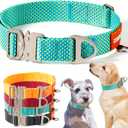 Heavy Duty Nylon Dog Collar with Metal Buckle | Quick Release Adjustable Dog Collar for Small Medium Large Dogs | Durable Outdoor Walking & Training Collars (Teal, 10"-16.5")