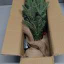Mini Christmas Tree,20 inch/50CM Small Christmas Tree with Lights with 2M LED Lights,75 Branch Tips,for Home Office Christmas Decorations