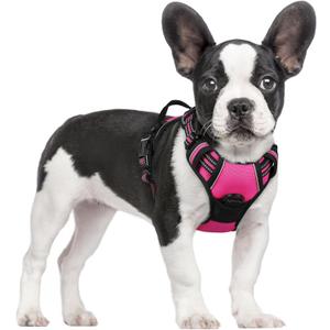 rabbitgoo Dog Harness No Pull with 2 Leash Clips, Adjustable Soft Padded, Reflective Oxford No Choke Pet Vest with Easy Control Handle for Large Dogs, Hot Pink, S
