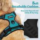 rabbitgoo Dog Harness No Pull with 2 Leash Clips, Adjustable Soft Padded, Reflective Oxford No Choke Pet Vest with Easy Control Handle for Dogs, Teal, Large