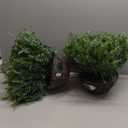 QIANYUN Outdoor Fake Hanging Fern  Artificial Hanging Ferns 2 Pack, Large Faux Boston Fern Bushes, UV Resistant Outdoor Hanging Plants for Front Porch, Patio & Indoor Decor (Green)