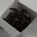 BCD Incandescent Teeny Lights 100 ct – Warm Mini Bulbs with Brown Cord – Indoor/Outdoor Water-Resistant Farmhouse String Lights for Patio, Wedding, Home Décor, Rustic Christmas