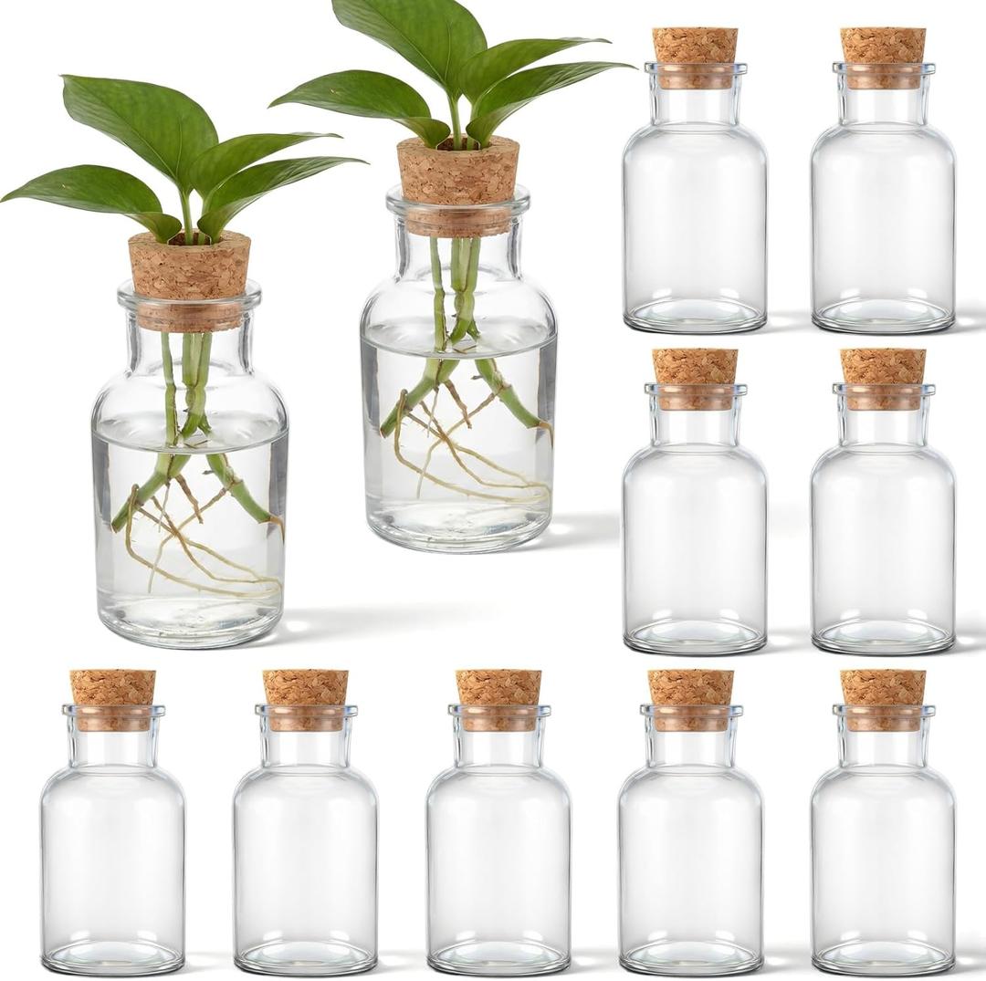 12 Pack Glass Plant Propagation Stations, Hydroponic Vases Tabletop Plant Terrarium Jar for Indoor Flower Arrangements Glass Planter Kitchen Office Decoration Gifts