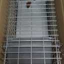 Squirrel Trap Live Animal Humane Cage Trap Catch Rats, Mice, Chipmunk, Weasel and Other Rodents for Indoor and Outdoor