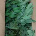 30Pcs Italian Ruscus Greenery, 23" Artificial Silk Stems Garland w/Green Leaf Vines Bendable Faux Hanging Plants Spray for DIY Wedding Arch Bouquet Table Centerpieces Vase Filler and Home Indoor Decor