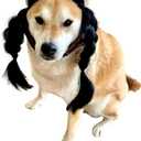 ComfyCamper Black Braided Hair Wig Headpiece Dogs Pet Gothic Girl Witch XL Cosplay Halloween Costume Christmas, M